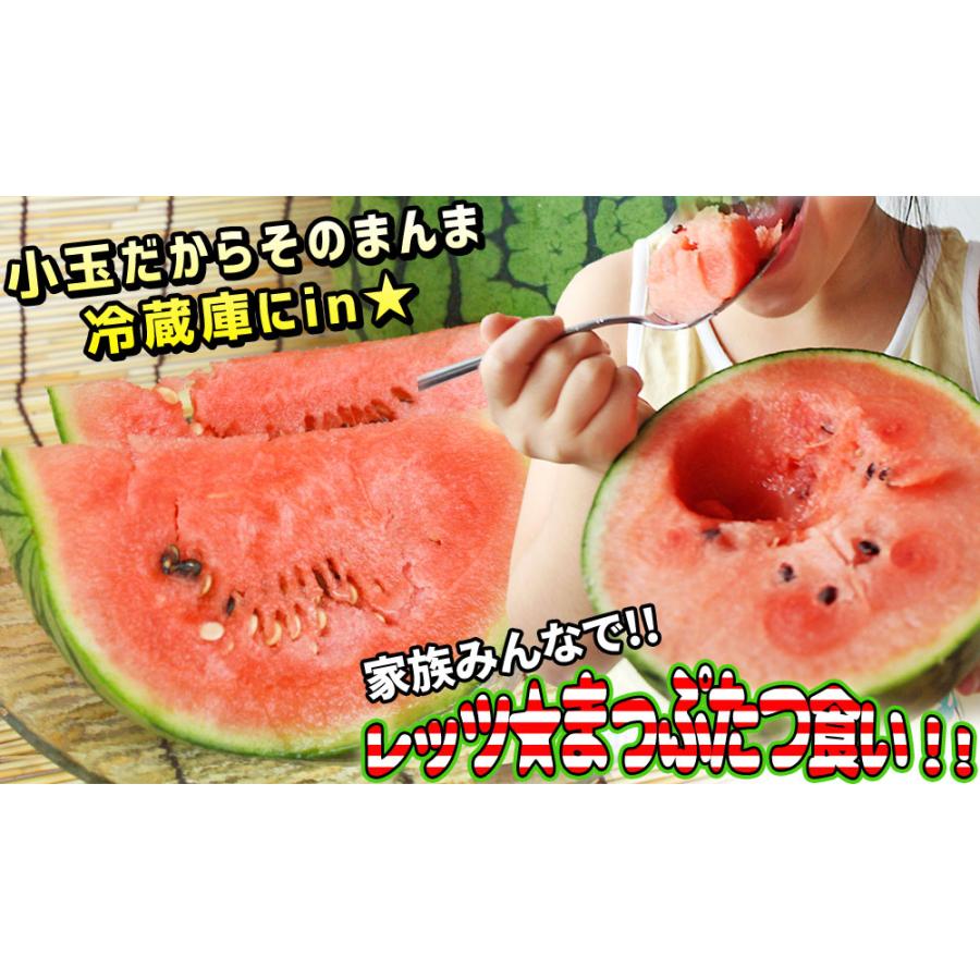小玉スイカ 送料無料 【青森県産 小玉すいか 南部華手毬 5kg以上】 3玉