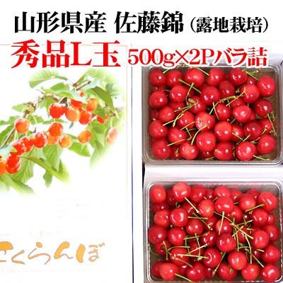 さくらんぼ 佐藤錦 送料無料 お中元 【山形県産 さくらんぼ 佐藤錦 秀L 500g×2バラ詰】朝摘み！ [※クール便配送][※産地直送・同梱不可]｜cameashi｜07