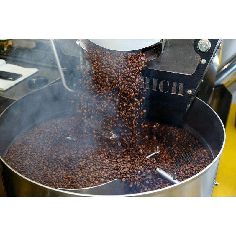 送料無料新品Indo Estate Coffe KOPI LUWAK インドネシア BALI 希少