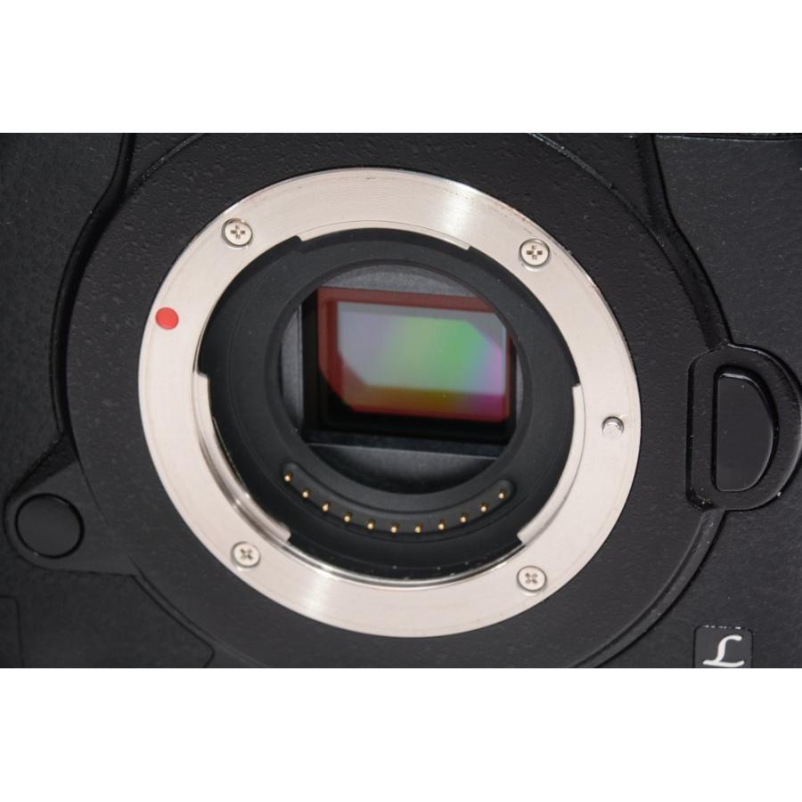 LUMIX ミラーレス一眼 カメラ ブラック Amazon | パナソニック(Panasonic) ミラーレス一眼カメラ