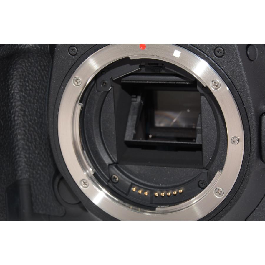 【中古】【ほぼ新品】Canon デジタル一眼レフカメラ EOS 7D Mark IIボディ EOS7DMK2｜camelion-store｜05