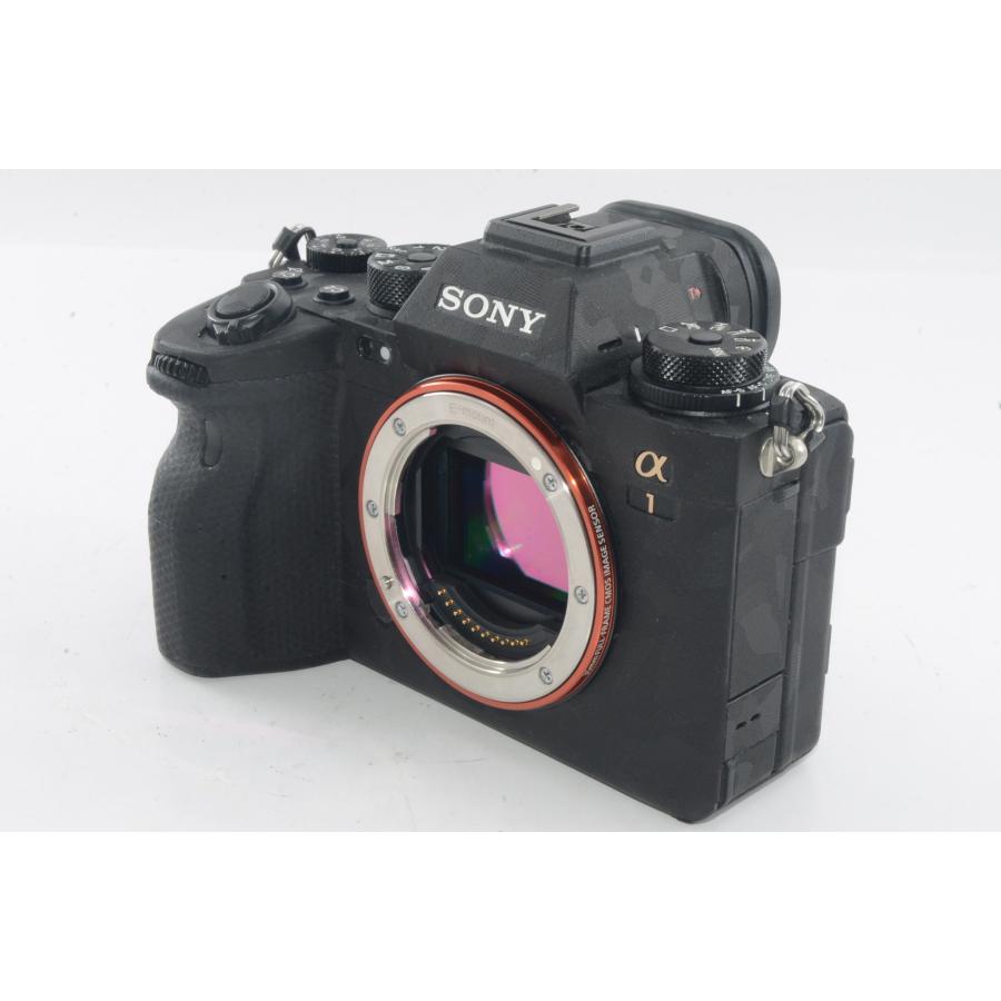 中古】【外観並級】ソニー フルサイズミラーレスカメラ ILCE-1 : 百獣