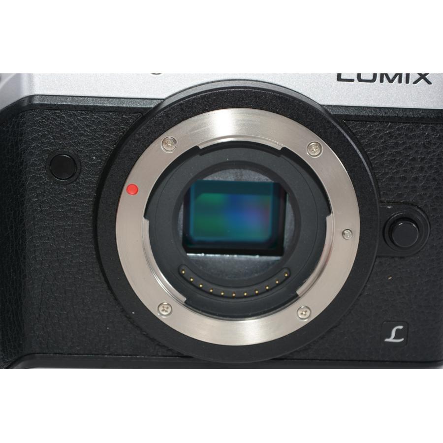 中古】【外観特上級】パナソニック ミラーレス一眼カメラ