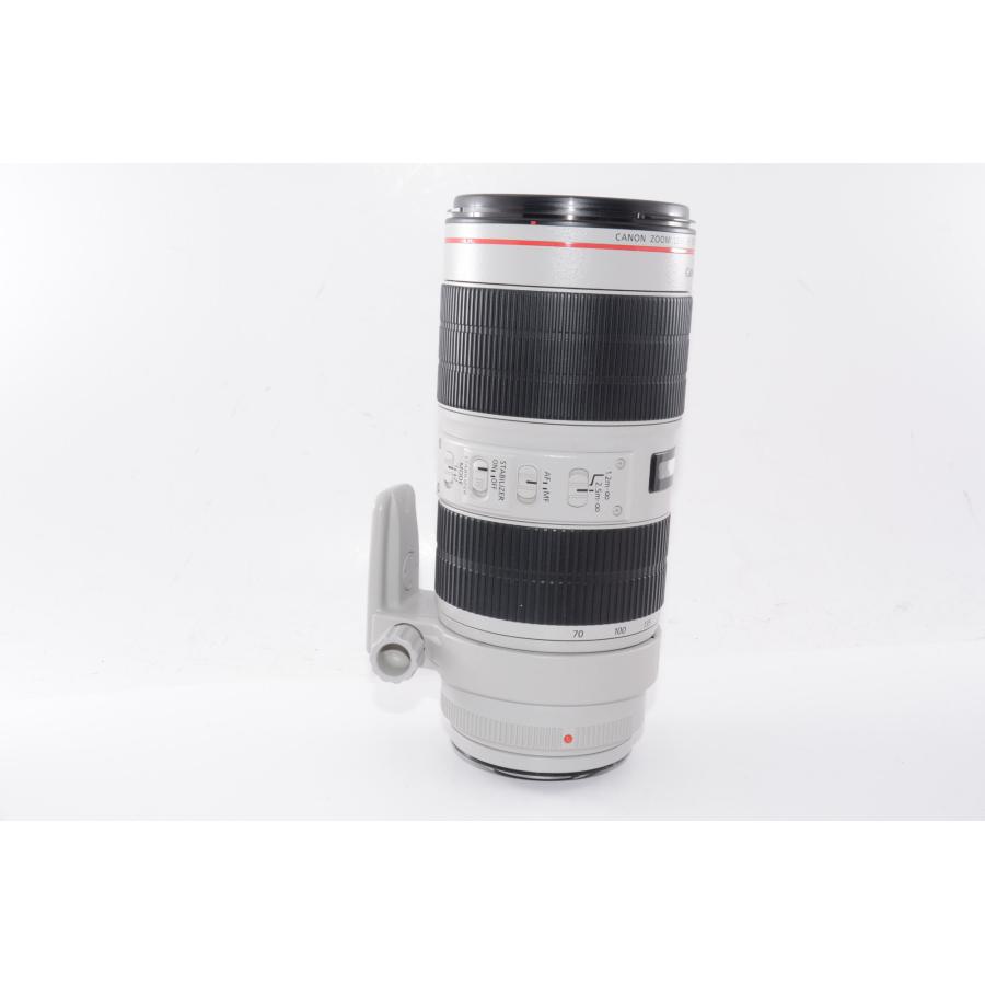 中古】【外観特上級】キヤノン EF70-200mm F2.8L IS III USM : 百獣の