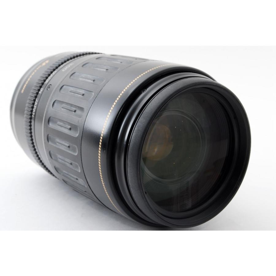 一眼レフカメラ　超望遠レンズ　Canon EF100-300mm EF100-300mm F5.6 - キヤノンカメラミュージアム