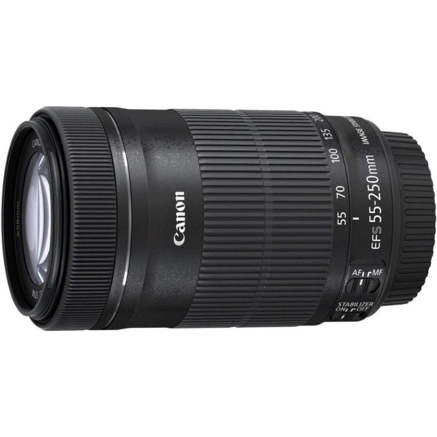 Canon EF-S55-250mm F4-5.6 IS STM 望遠ズーム