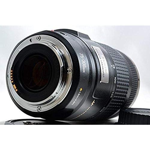 キヤノン Canon EF 75-300mm F4-5.6 IS USM <プレゼント包装承り