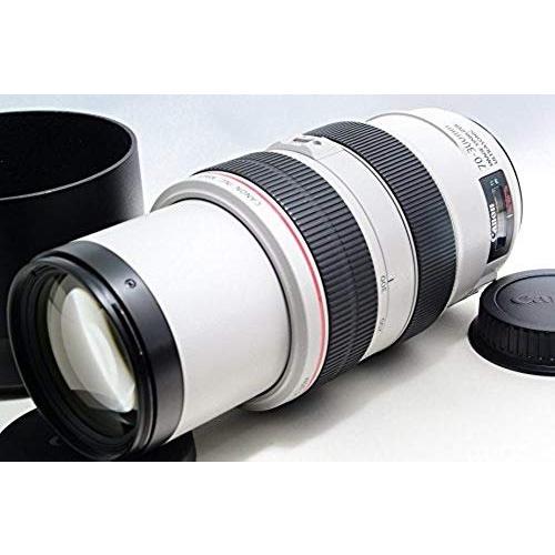 キヤノン（Canon） Canon EF70-300mm F4-5.6L IS USM 望遠ズームレンズ