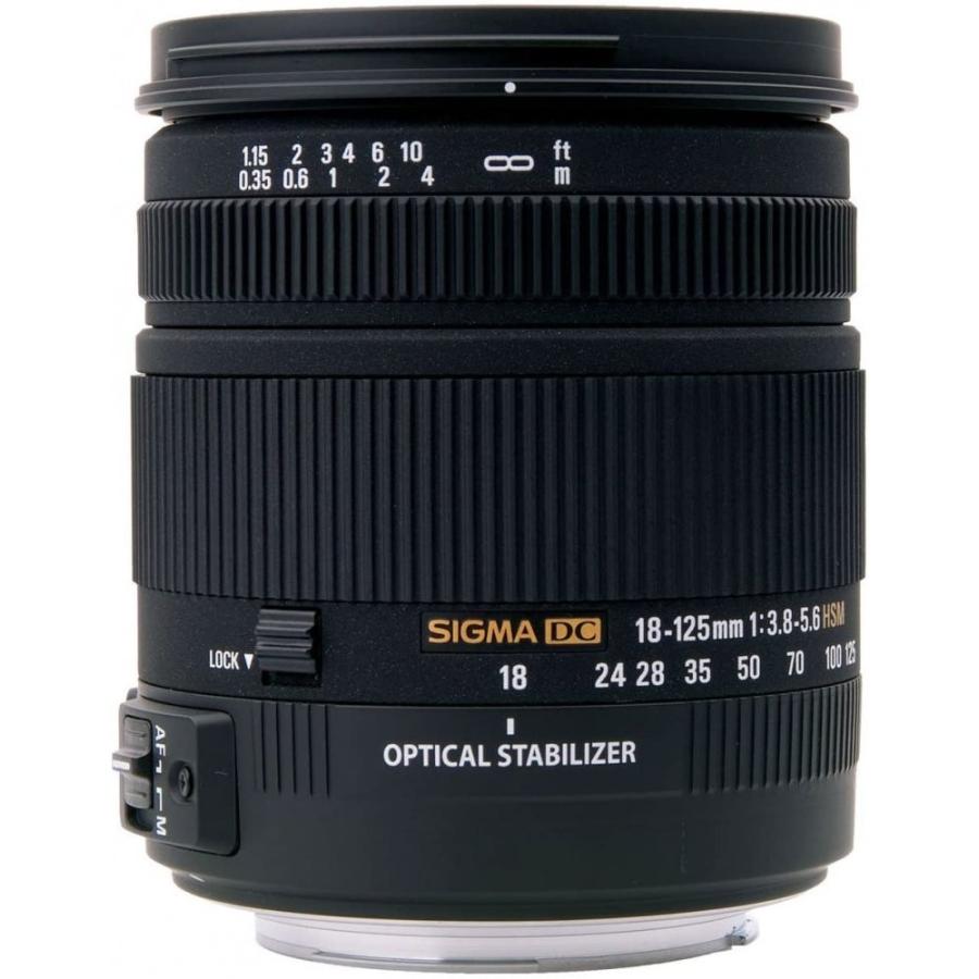 Sigma DC 18-125mm F/3.8-5.6 OS HSM ニコン用 Vitopal 照明器具 720171275617 露出計 露出計