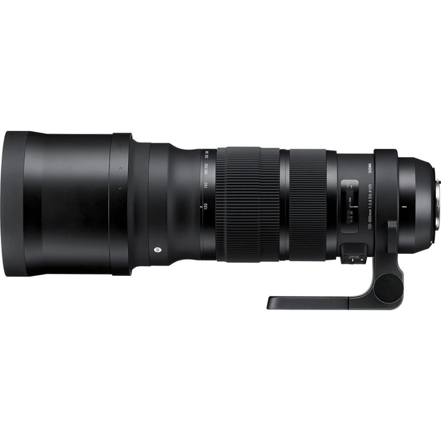 GoPro シグマ SIGMA 120-300mm F2.8 DG OS HSM | Sports S013 キヤノン  