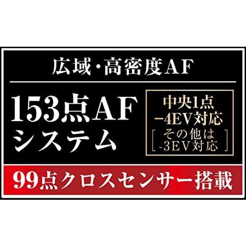 Nikon D500 レンズキット 良品 動作確認済み 1ヶ月保証付 高性能