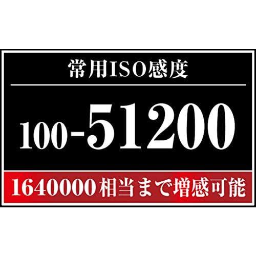Nikon D500 レンズキット 良品 動作確認済み 1ヶ月保証付 高性能