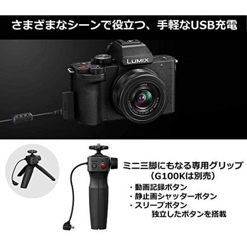 CONTAX パナソニック Vlog ミラーレス一眼カメラ ルミックス G100V  