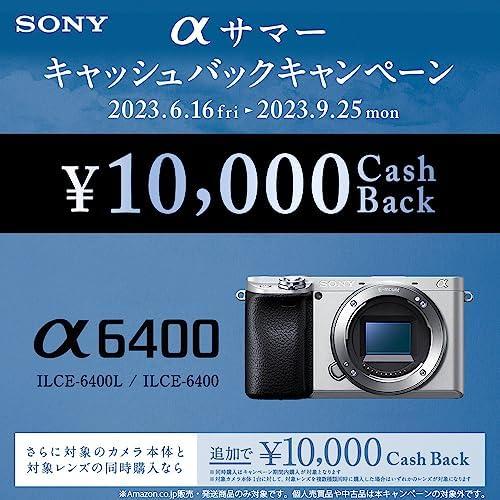 CONTAX（コンタックス） ソニー/APS-C/ミラーレス一眼カメラ ズーム
