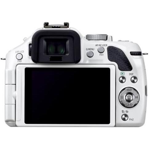 パナソニック ミラーレス一眼カメラ ルミックス G5 レンズキット 電動 