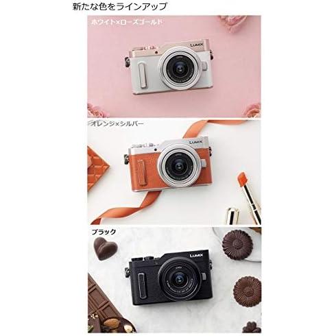 CONTAX（コンタックス） Panasonic ルミックス GF90 ダブルレンズ