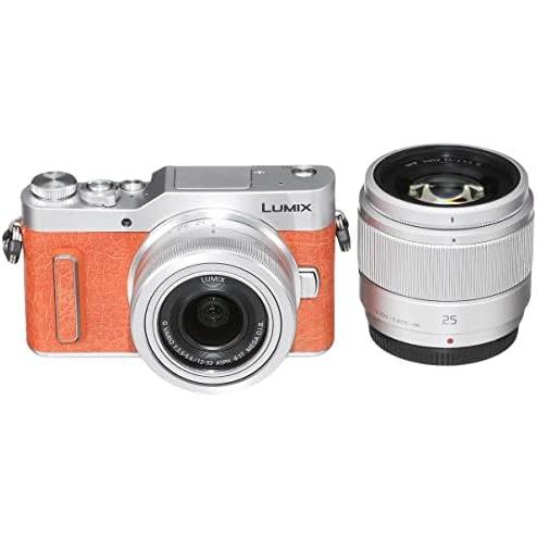 CONTAX（コンタックス） Panasonic ルミックス GF90 ダブルレンズ