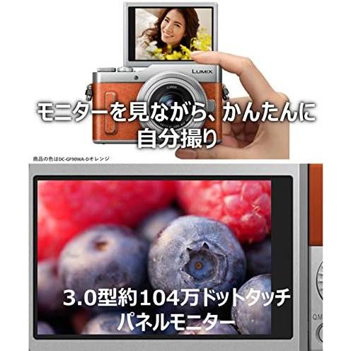 CONTAX パナソニック ミラーレス一眼カメラ ルミックス GF9