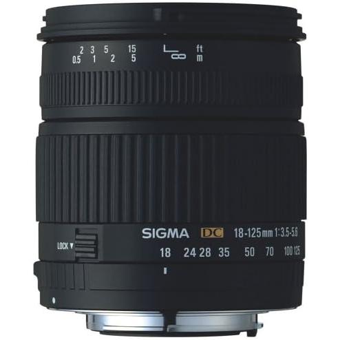 GoPro（ゴープロ） SIGMA 18-125mm F3.5-5.6 DC 交換レンズ 良品 動作 