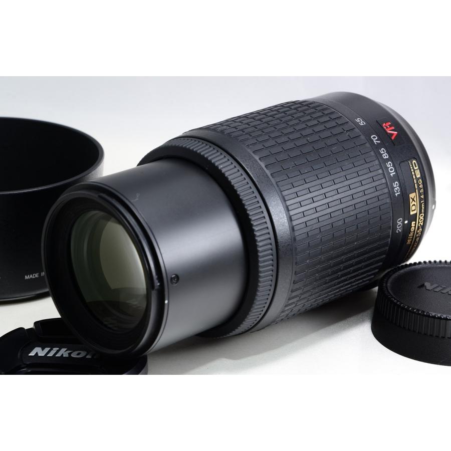 ニコン Nikon D5100 ダブルズームキット 大切なお子様は綺麗に