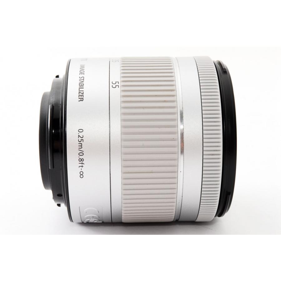 ⭐Canon EF-S 18-55 4-5.6 IS STM シルバー⭐送料無料-