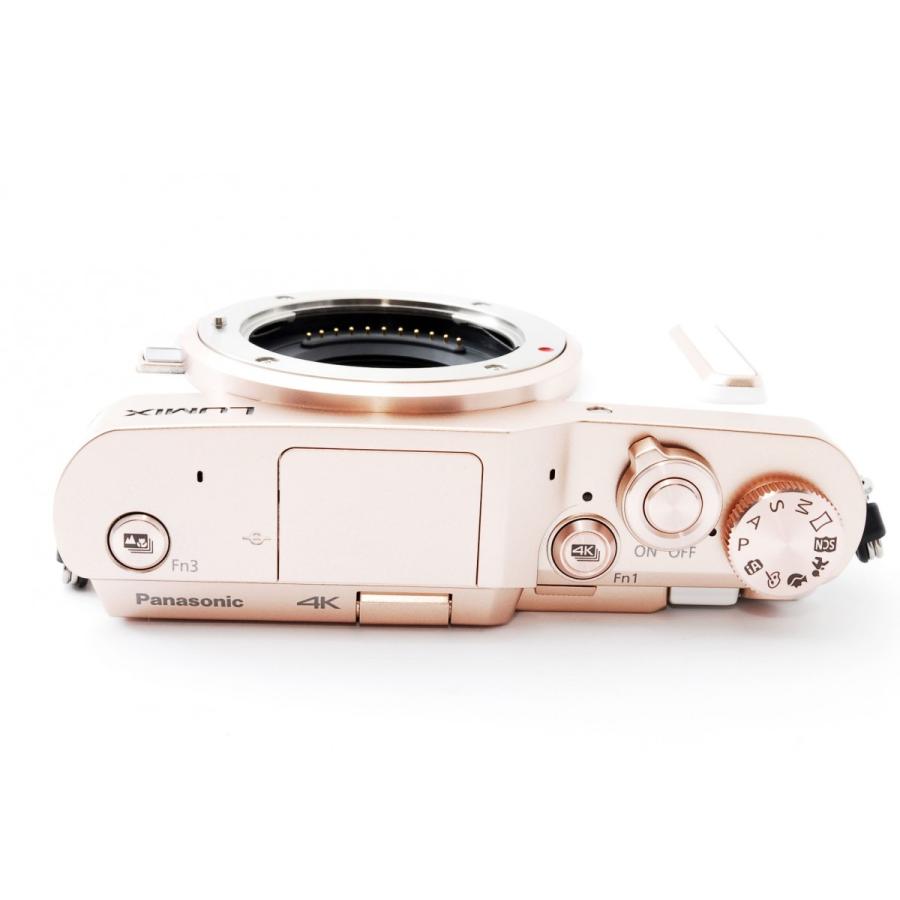 Panasonic パナソニック DC-GF90 ホワイトレンズキット microSDカード