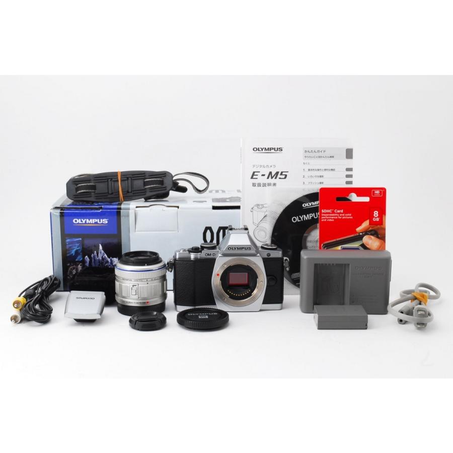★美品★ OLYMPUS OM-D E-M5 ストロボ付属 オリンパス OLYMPUS OM-D E-M5 シルバー レンズセット 美品 SD