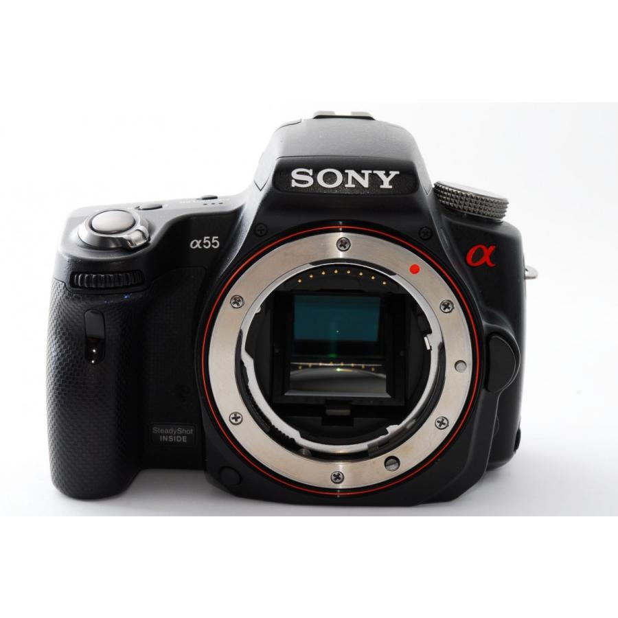 ソニー SONY α55 SLT-A55 標準&望遠ダブルズームセット 美品 SDカード 
