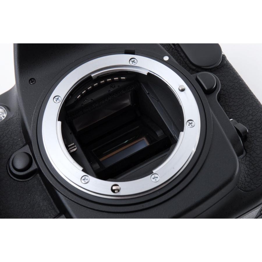 ニコン Nikon D300S ダブルズームセット ブラック 美品 一眼レフ