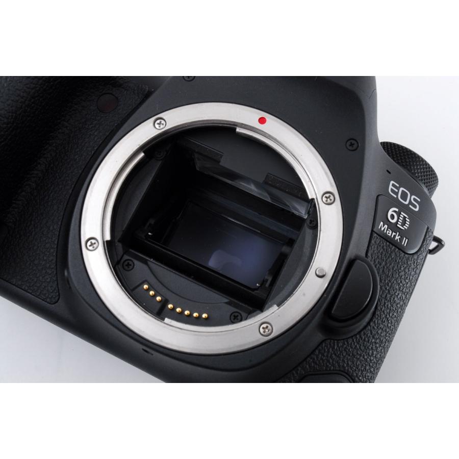 キヤノン Canon EOS 6D Mark II 標準&超望遠&単焦点トリプル キヤノン Canon EOS 6D Mark II 標準&超望遠&単焦点トリプル
