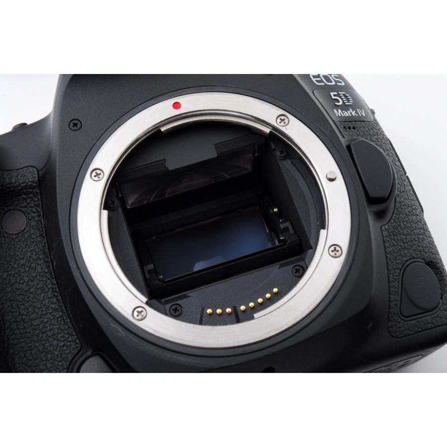 キヤノン Canon EOS 5D Mark IV 標準&超望遠&単焦点トリプルレンズセット 美品 SDカード付 <プレゼント包装承ります> : 711 : カメラFanks-PROShop ヤフー店 - 通販 - Yahoo!ショッピング キヤノン Canon EOS 5D Mark IV 標準&超望遠&単焦点トリプルレンズセット 美品 SDカード付 <プレゼント包装承ります> : 711 : カメラFanks-PROShop ヤフー店 - 通販 - Yahoo!ショッピング