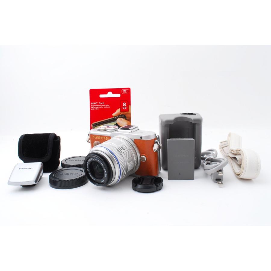 OLYMPUS E-PL10 ブラウン レンズ2個 SDカードセット OLYMPUS E-PL10 ブラウン レンズ2個 SDカードセット