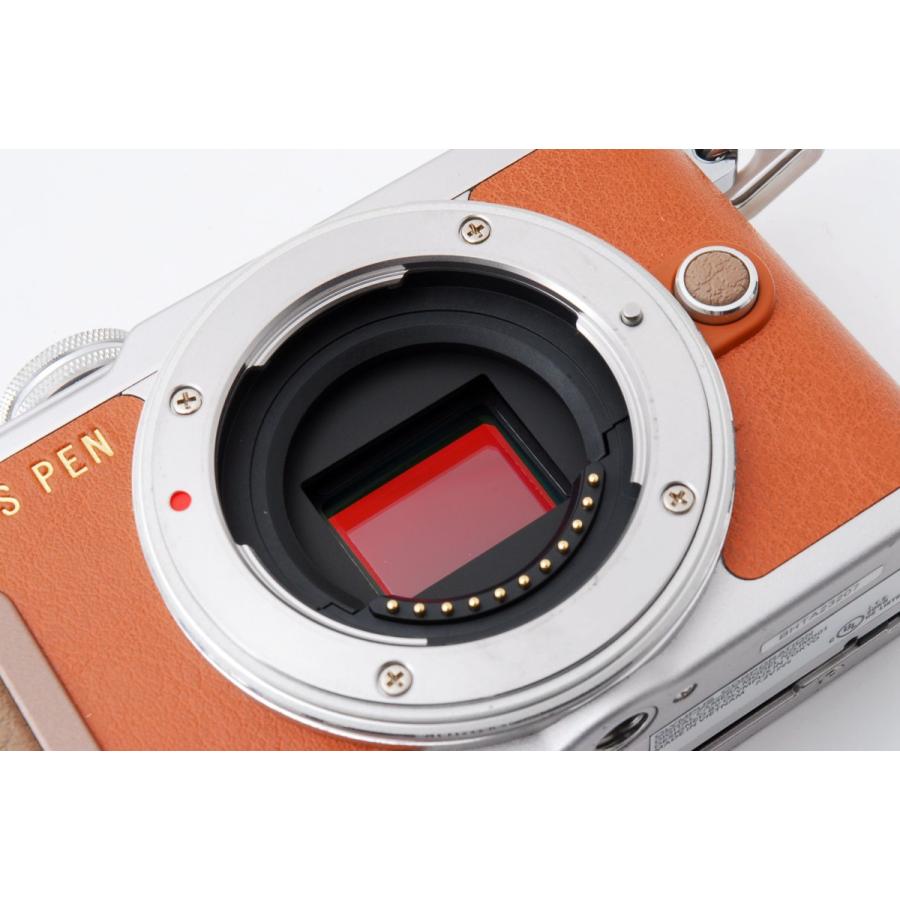 オリンパス OLYMPUS E-PL8 ブラウン レンズセット 美品 新品 SDカード  