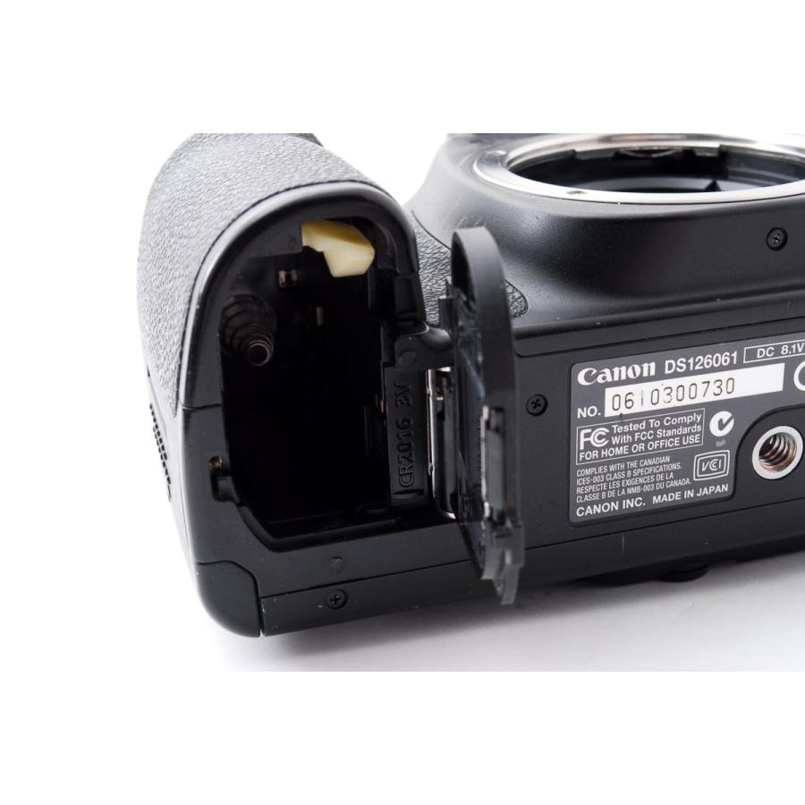 キヤノン Canon EOS 20D ダブルズームセット 美品 ストラップ