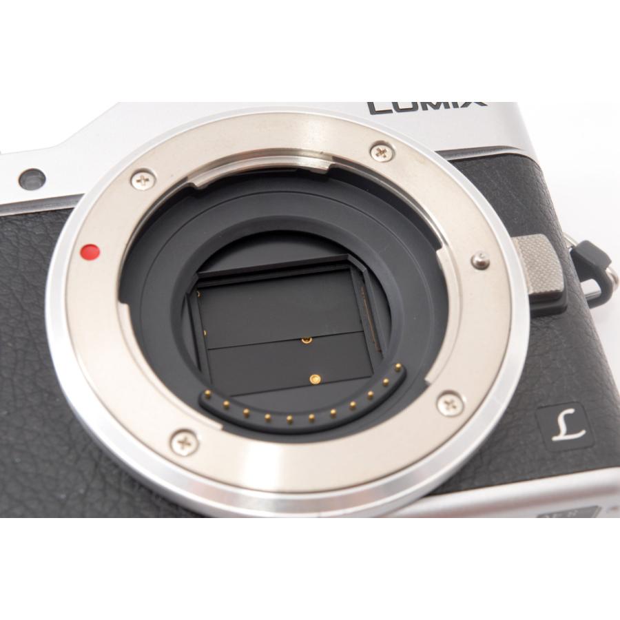 カメラ7台、レンズセット Panasonic LUMIX DC-GF9含む 【公式通販】