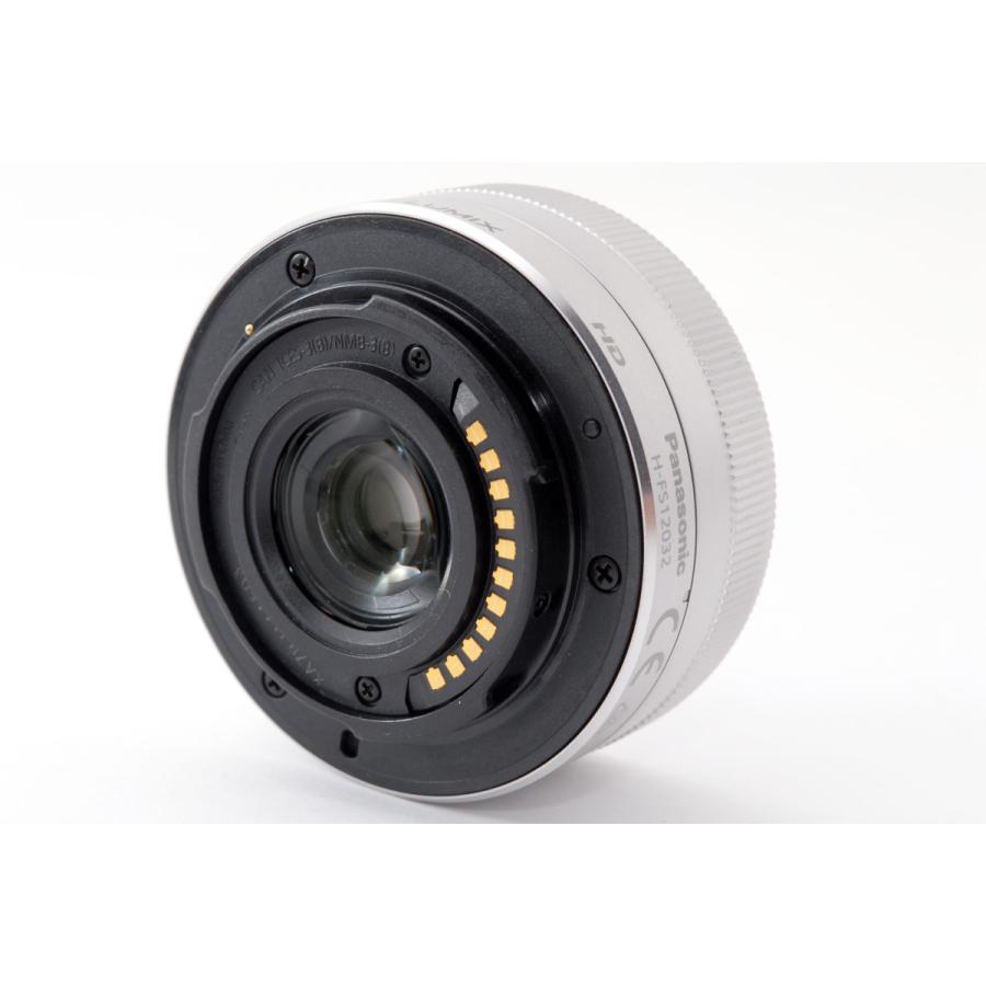 パナソニック Panasonic DC-GF9 レンズセット シルバー 美品 4K動画  