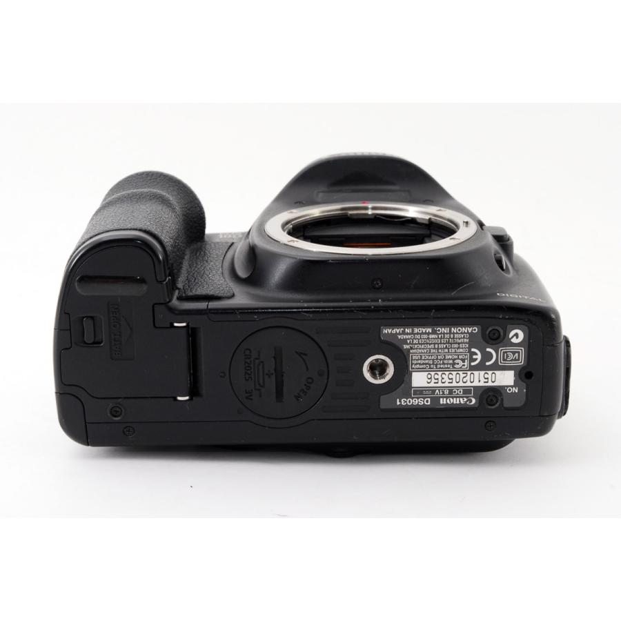 キヤノン Canon EOS 10D ダブルズームセット 美品 ストラップ