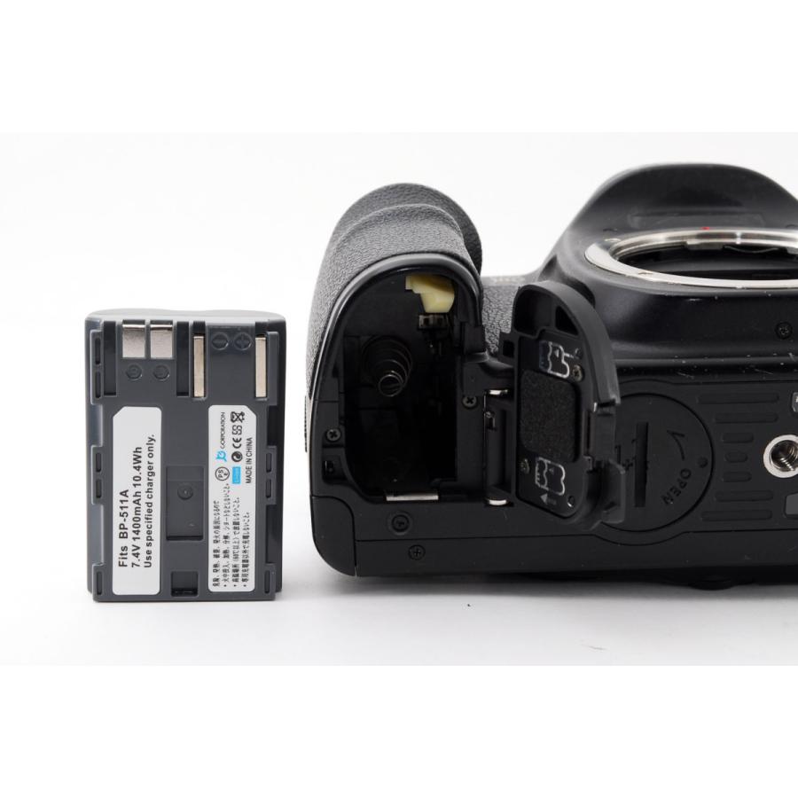 キヤノン Canon EOS 10D ダブルズームセット 美品 ストラップ