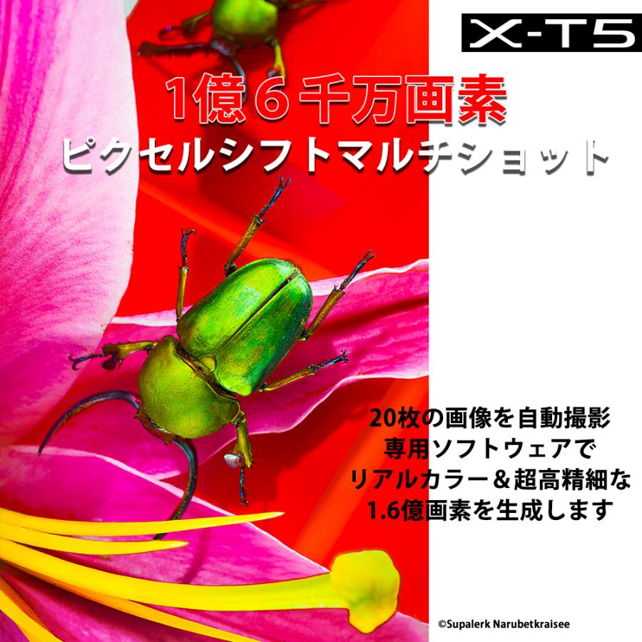 富士フイルム Xシステム [新品]FUJIFILM フジフイルム X-T5 ボディ