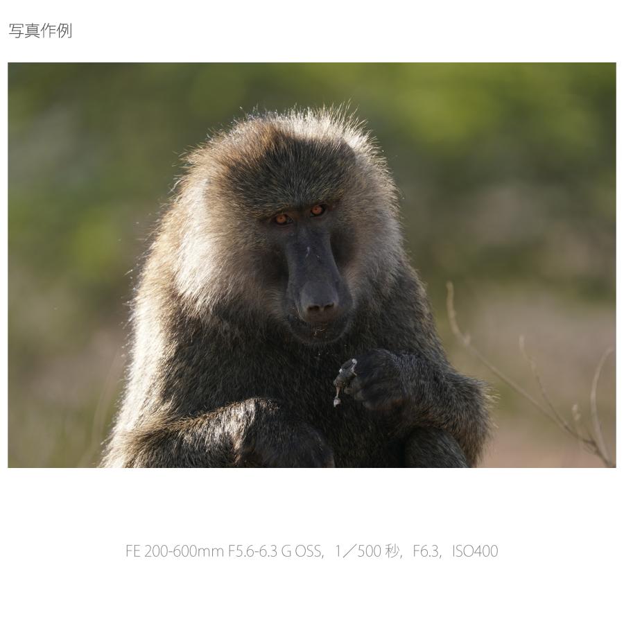 G Lens [新品]SONY ソニー FE 200-600mm F5.6-6.3 OSS SEL200600G