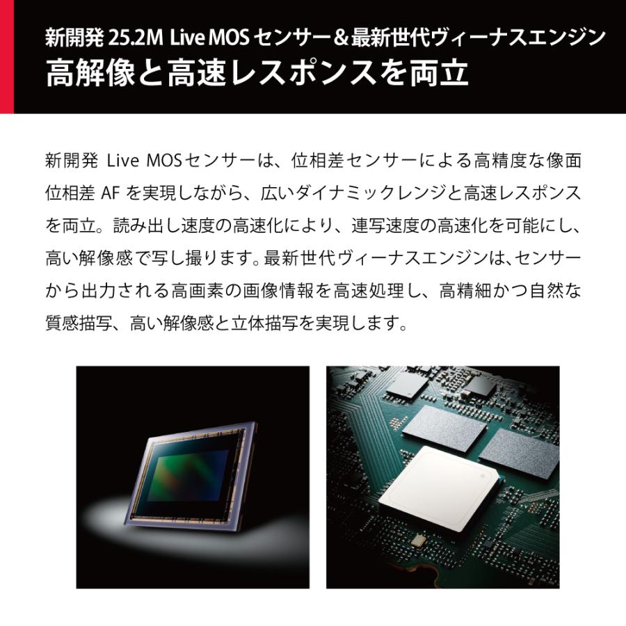 LUMIX Gシリーズ [新品]Panasonic パナソニック G9 PROII 標準ズーム