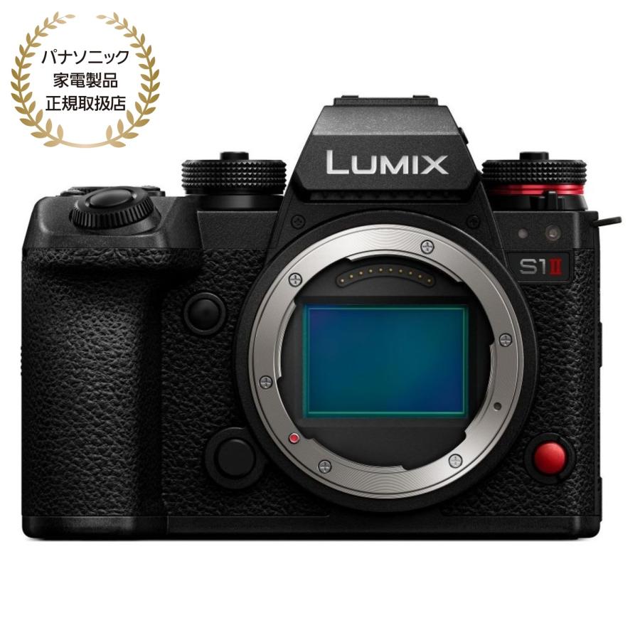 ≪S数26311回≫Panasonic DC-S1 ボディ Panasonic LUMIX S1 ボディ DC-S1-K｜新品通販フジヤカメラ