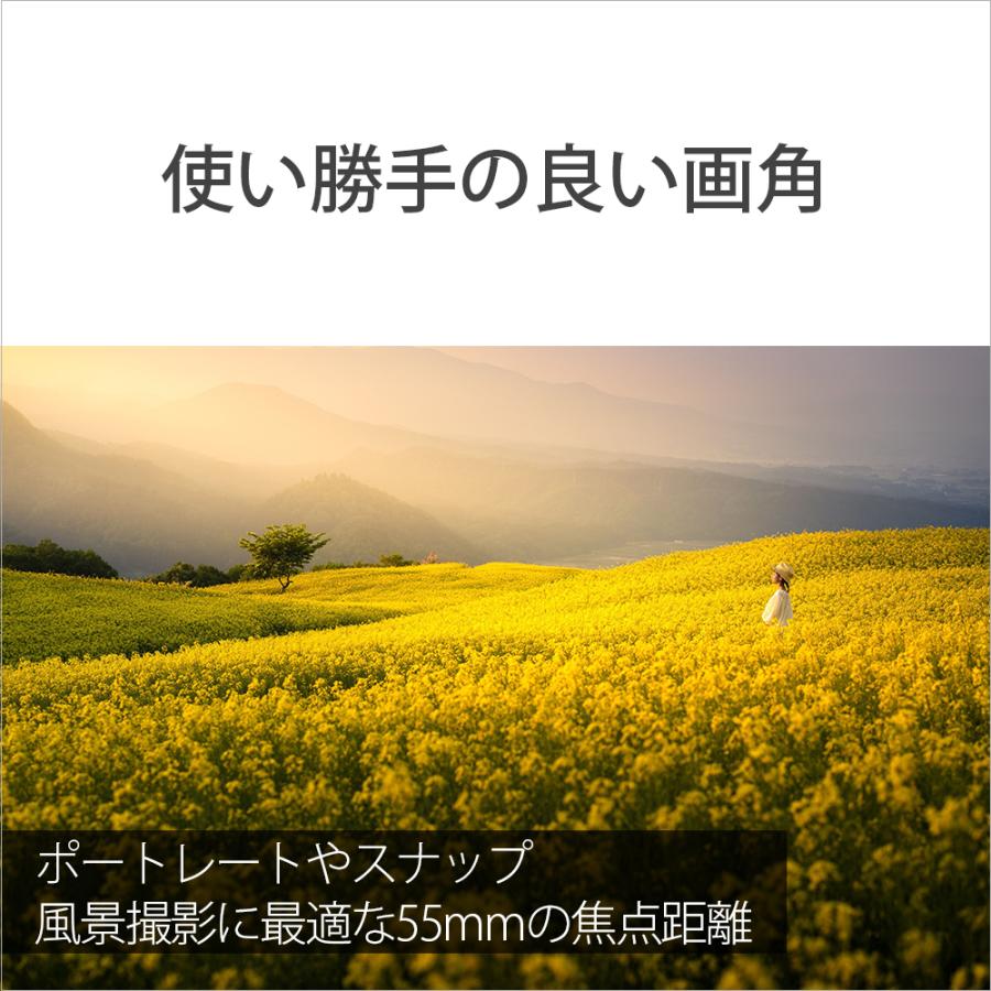 [新品]SONY ソニー Sonnar T* FE 55mm F1.8 ZA SEL55F18Z｜camera-no-ohbayashi｜07