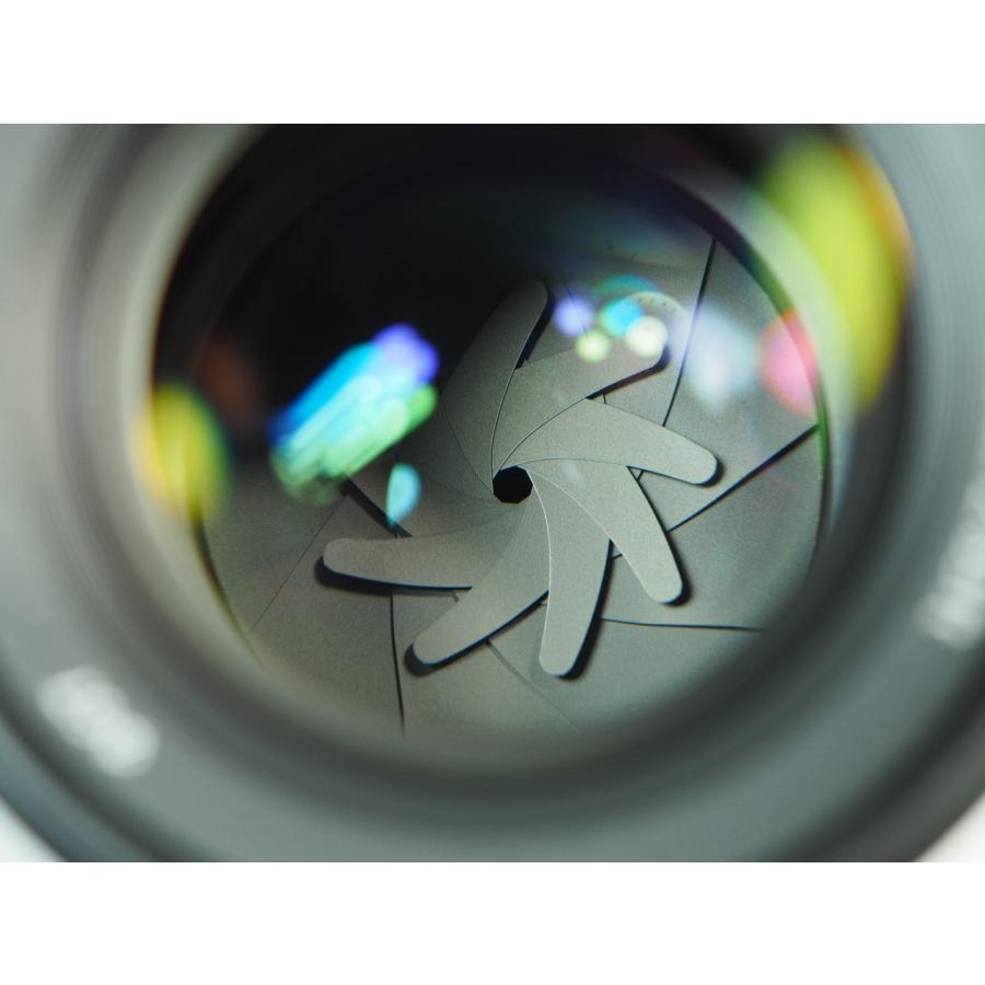 SONY FE 85mm F1.8 SEL85F18 ソニー 管SO10089 | α（ソニー） | 06