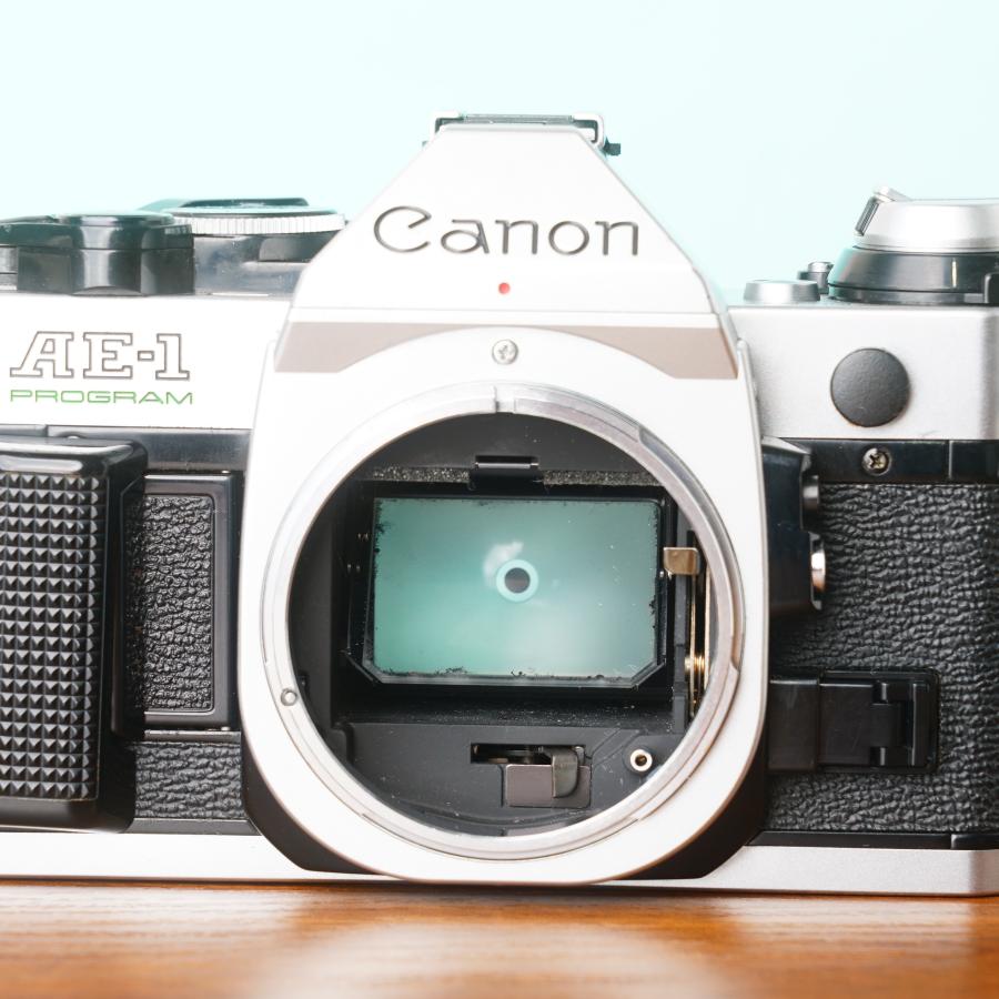 完動品◎Canon AE-1 Program フィルムカメラ 防湿庫管理 47 完動品◎Canon AE-1 Program フィルムカメラ 防湿庫管理 47