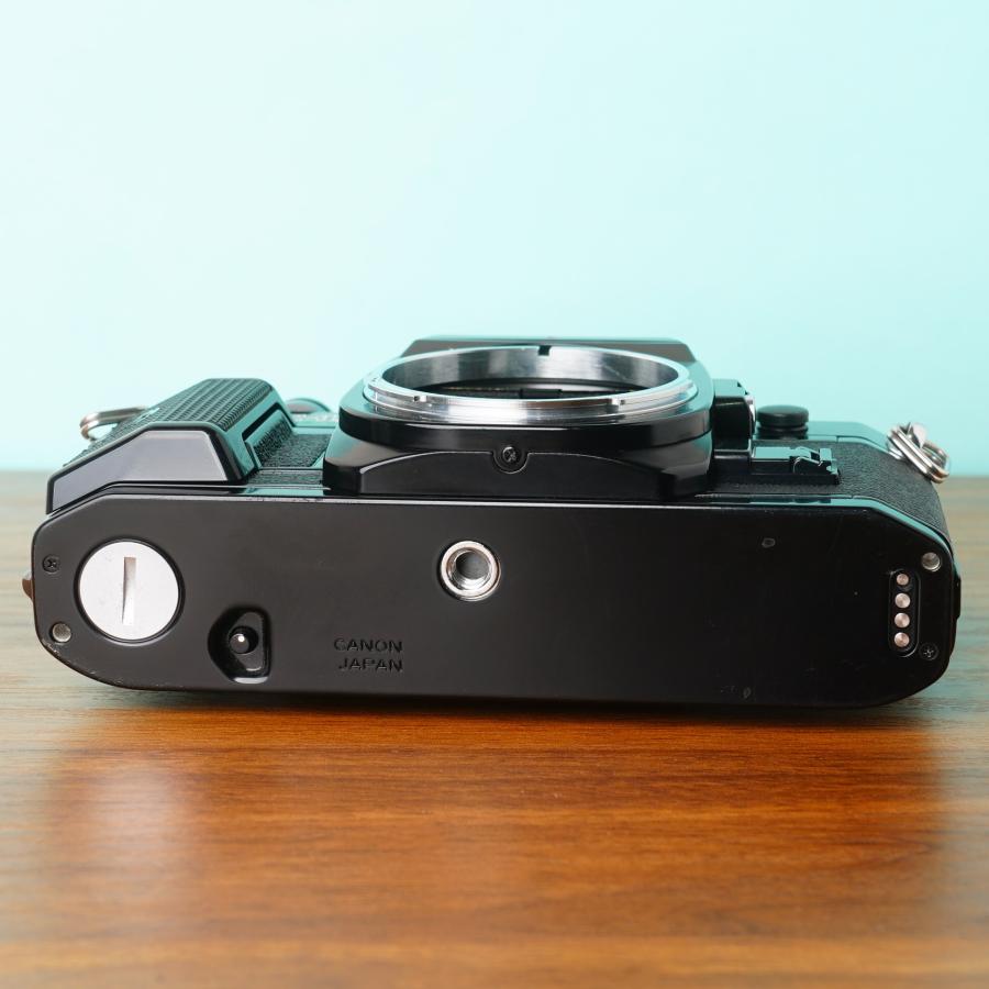 キヤノン [美品] 完動品◎Canon AE-1 Program ブラック ボディ