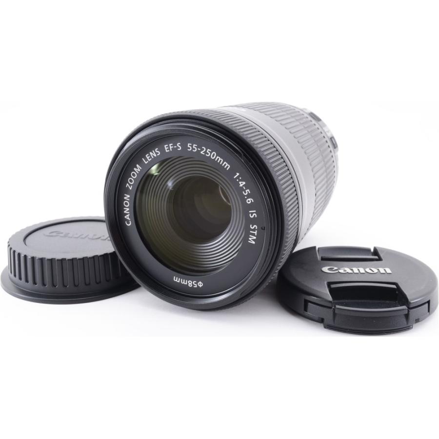 Canon キヤノン EF-S 55-250mm F4-5.6 IS STM 一眼レフカメラ APS-C