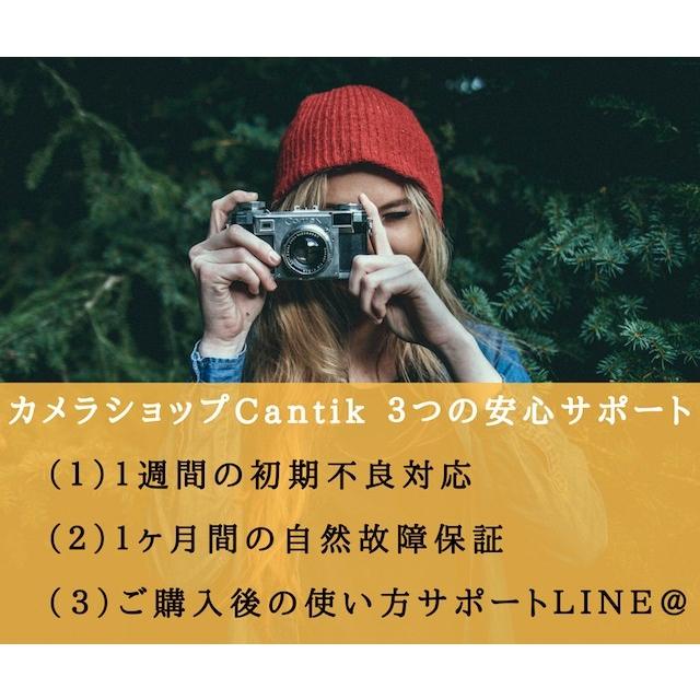 Nikon ニコン D5500 18-55mm レンズキット 一眼レフカメラ SDカード付き Wi-Fi/バリアングル液晶【中古】｜cameracantik｜09