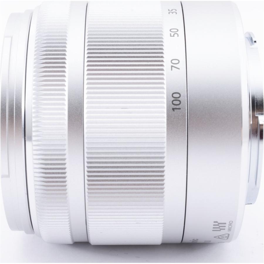 LUMIX Gシリーズ ルミックス G VARIO 35-100mm F4.0-5.6 ASPH. MEGA 