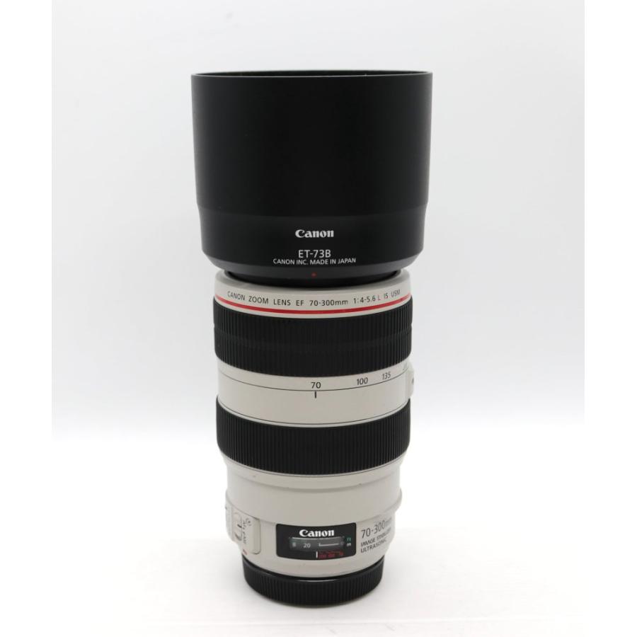 Canon EFレンズ EF70-300mm F4-5.6L IS USM ズームレンズ 望遠